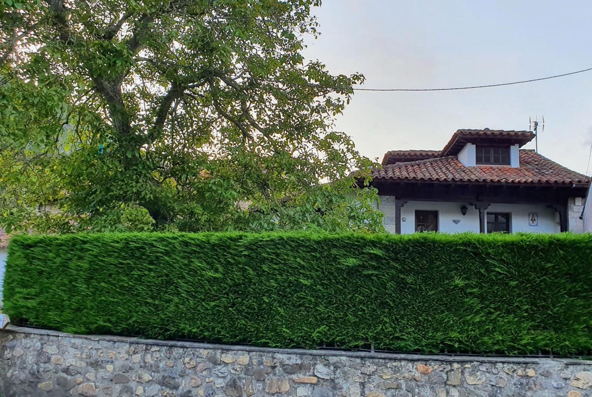 Casa Vacacional Dario Βίλα Rales  Εξωτερικό φωτογραφία
